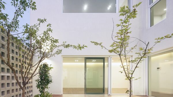 5f6d6580953fc.jpg